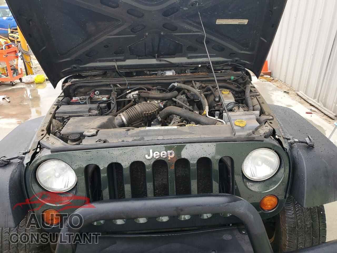 JEEP WRANGLER 2011 - 1J4BA3H13BL502159