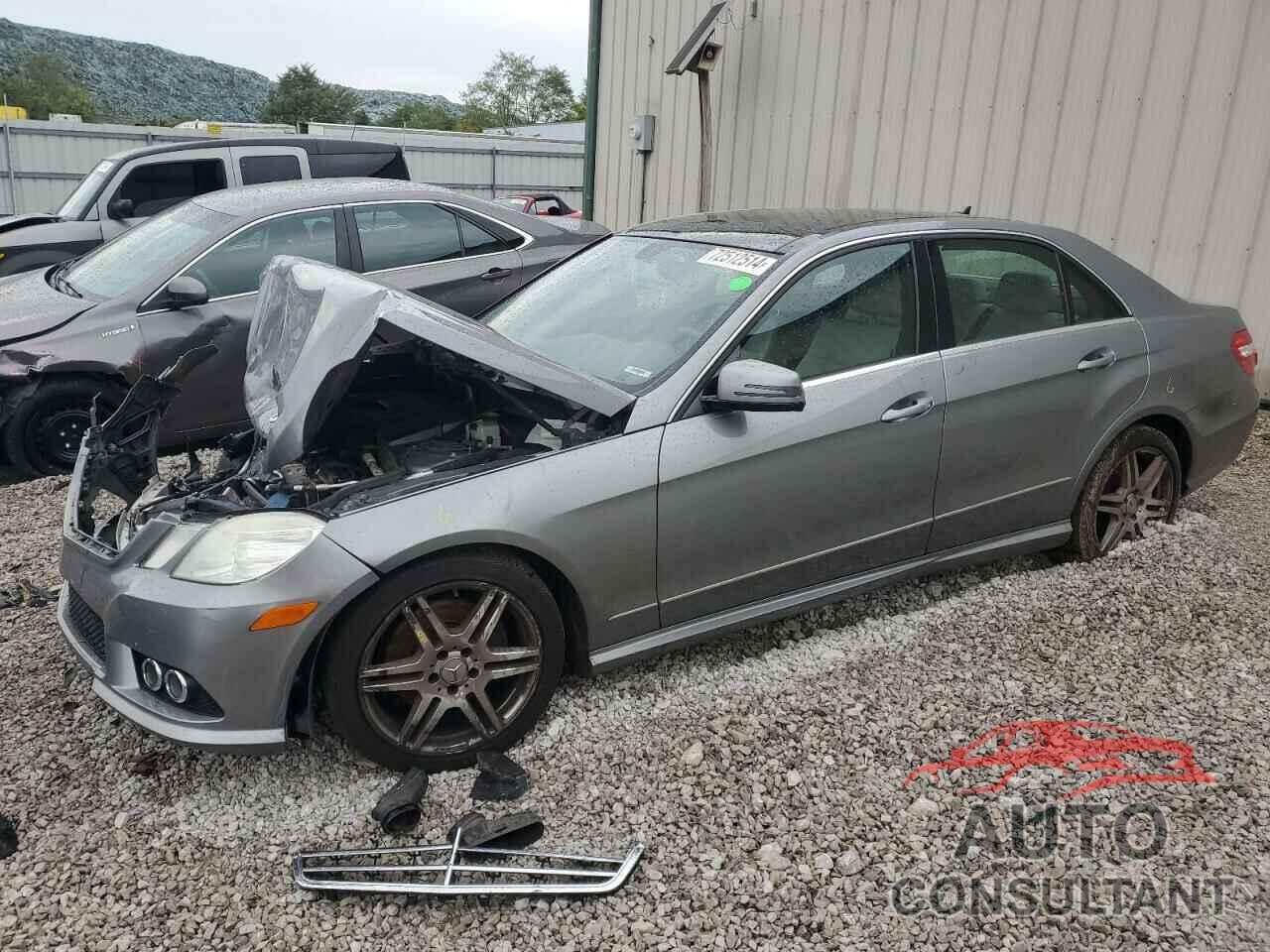 MERCEDES-BENZ E-CLASS 2010 - WDDHF5GB6AA023550
