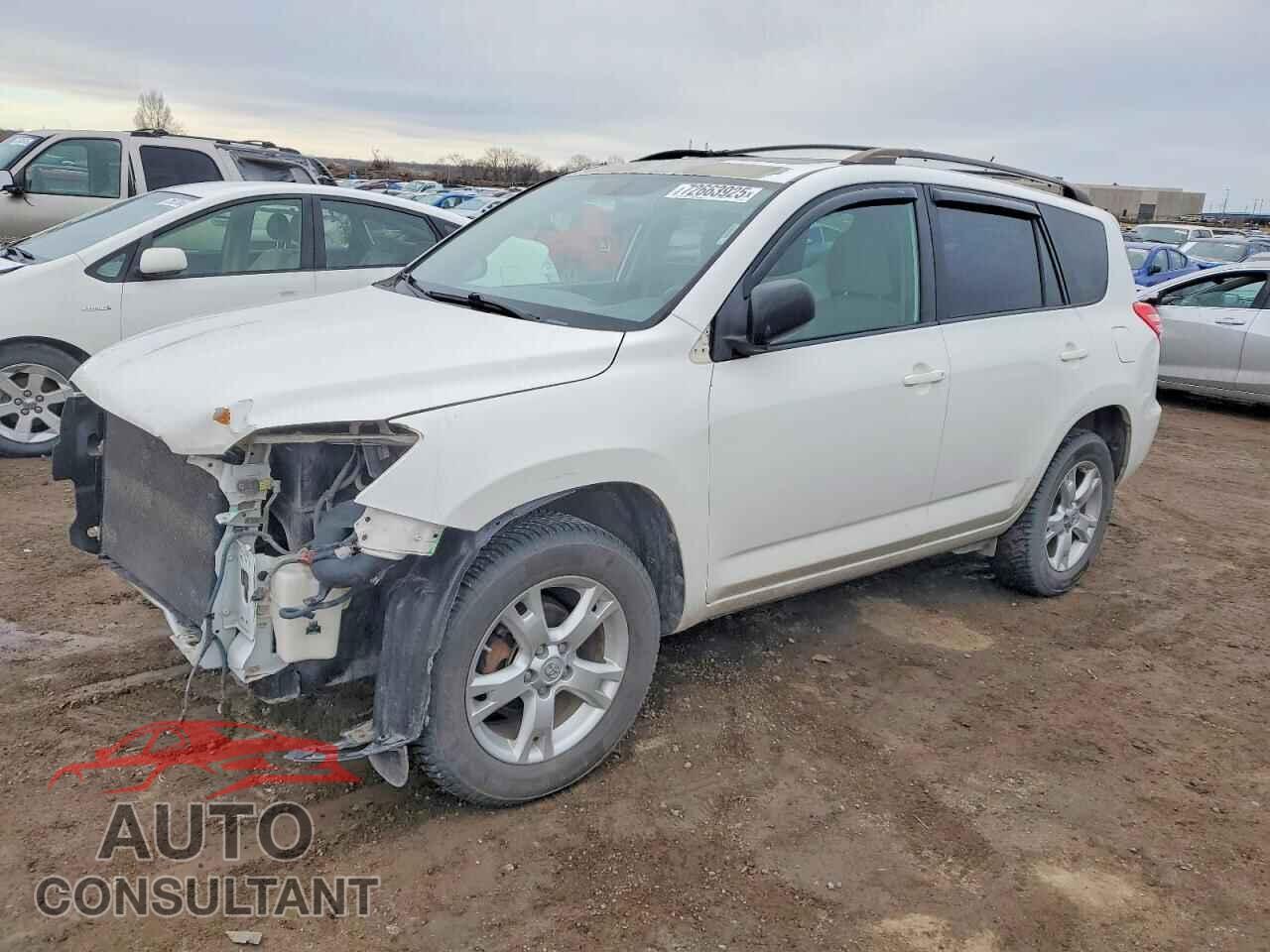 TOYOTA RAV4 2011 - JTMBF4DV4B5041919