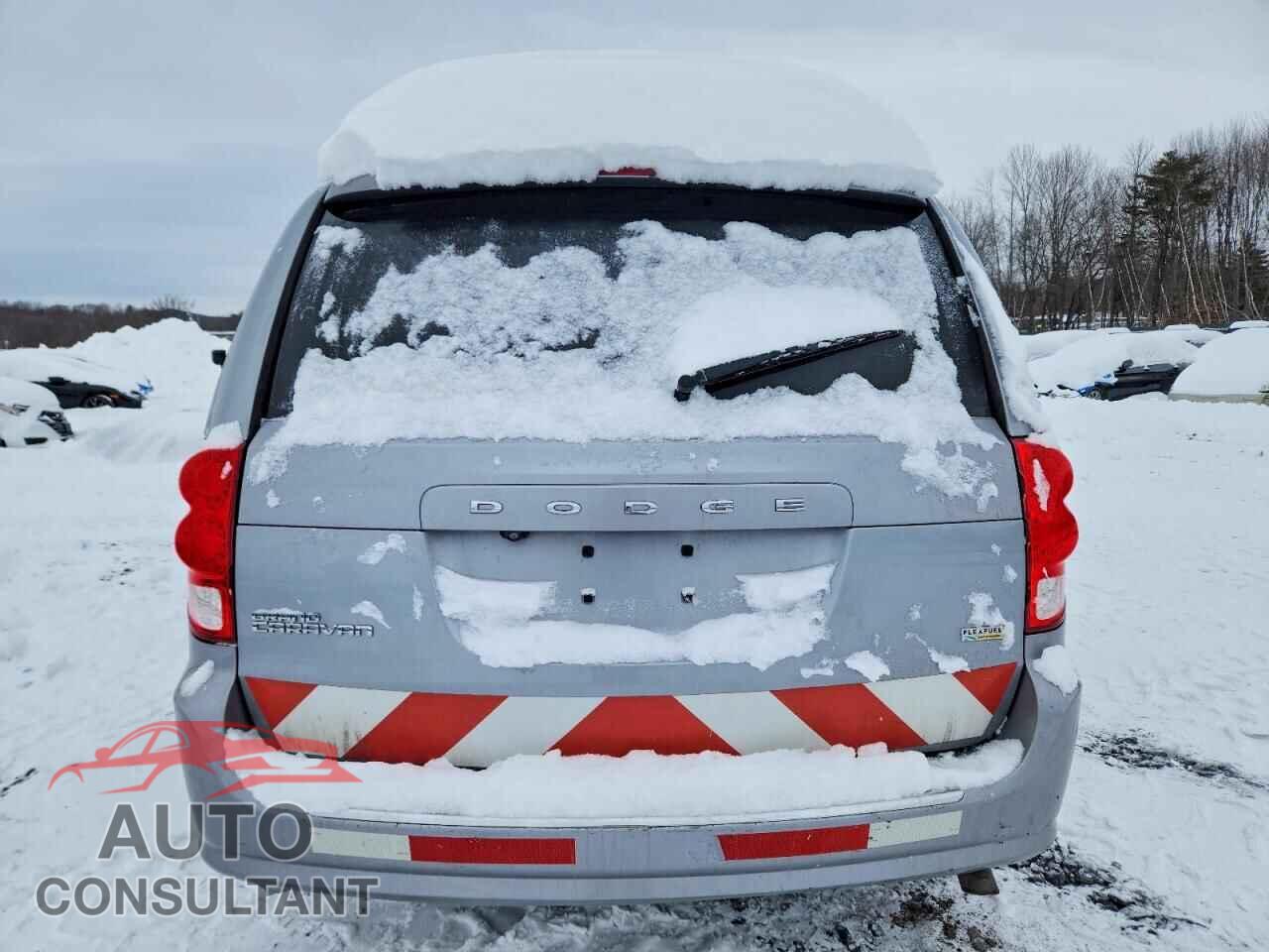 DODGE CARAVAN 2019 - 2C4RDGBG1KR596274
