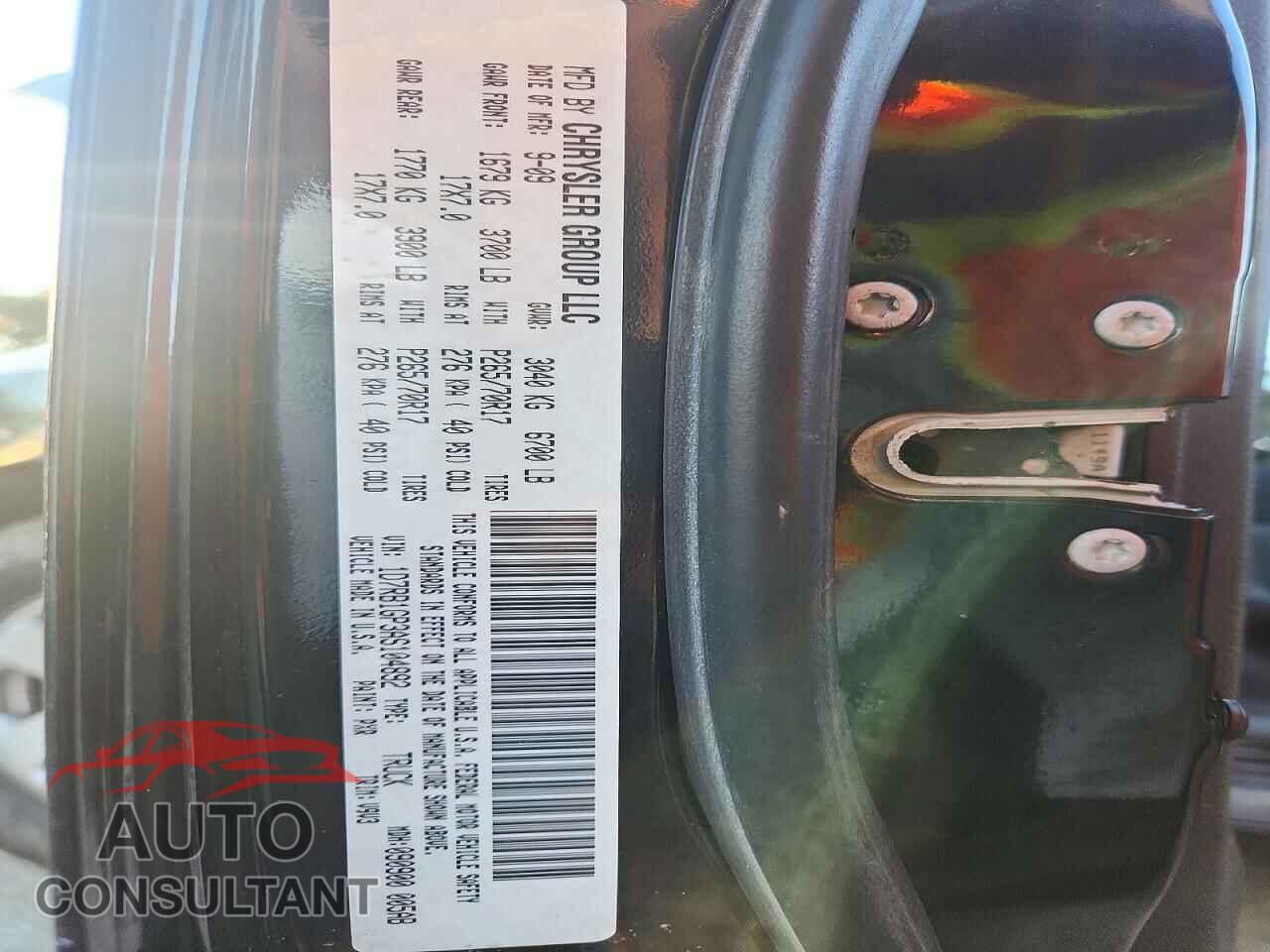 DODGE RAM 1500 2010 - 1D7RB1GP3AS104892