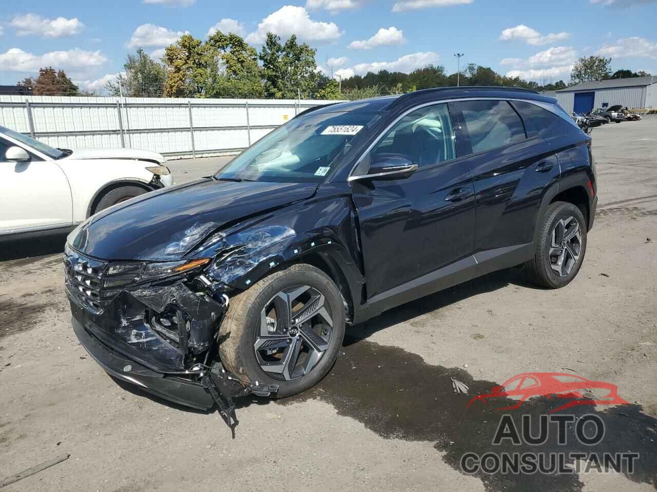 HYUNDAI TUCSON 2024 - KM8JECD16RU229889