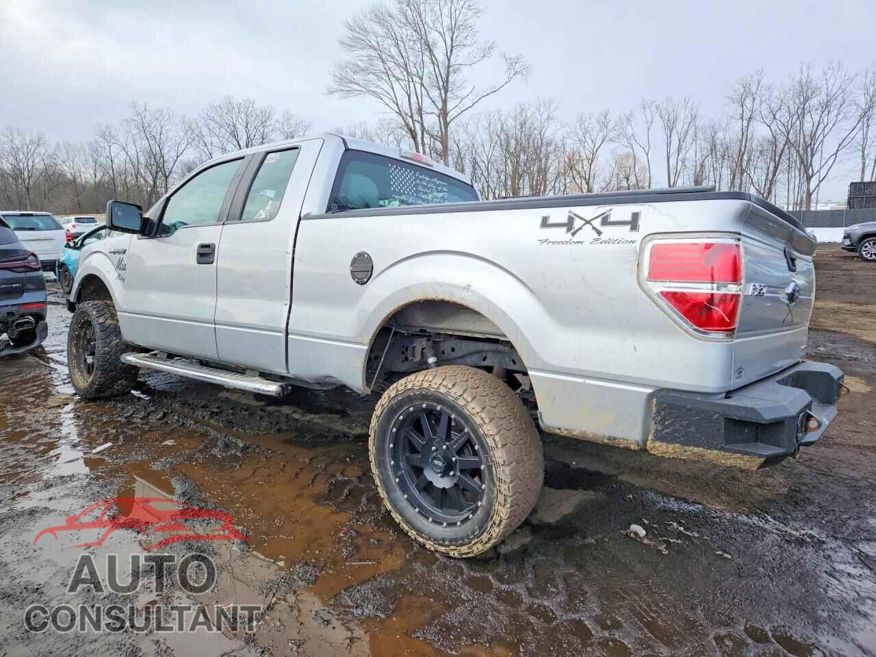 FORD F-150 2013 - 1FTFX1EF3DFD73531