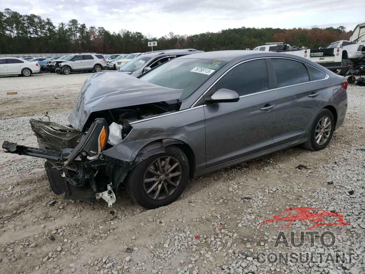 HYUNDAI SONATA 2019 - 5NPE24AF7KH750446
