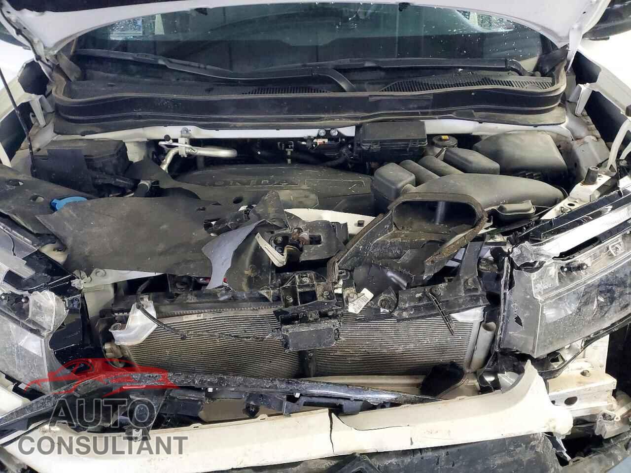 HONDA RIDGELINE 2025 - 5FPYK3F63SB022578