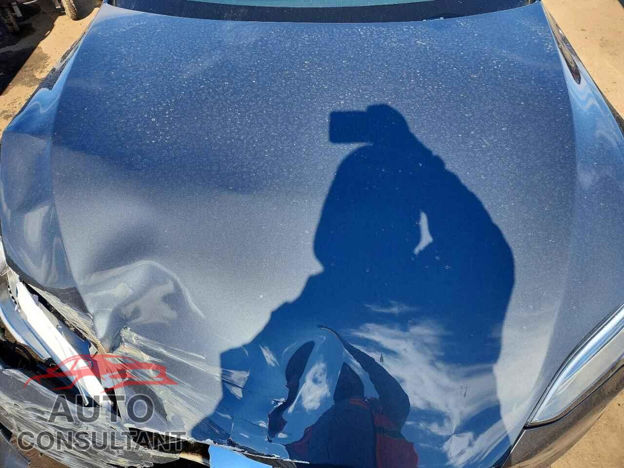 TESLA MODEL S 2019 - 5YJSA1E43KF336835