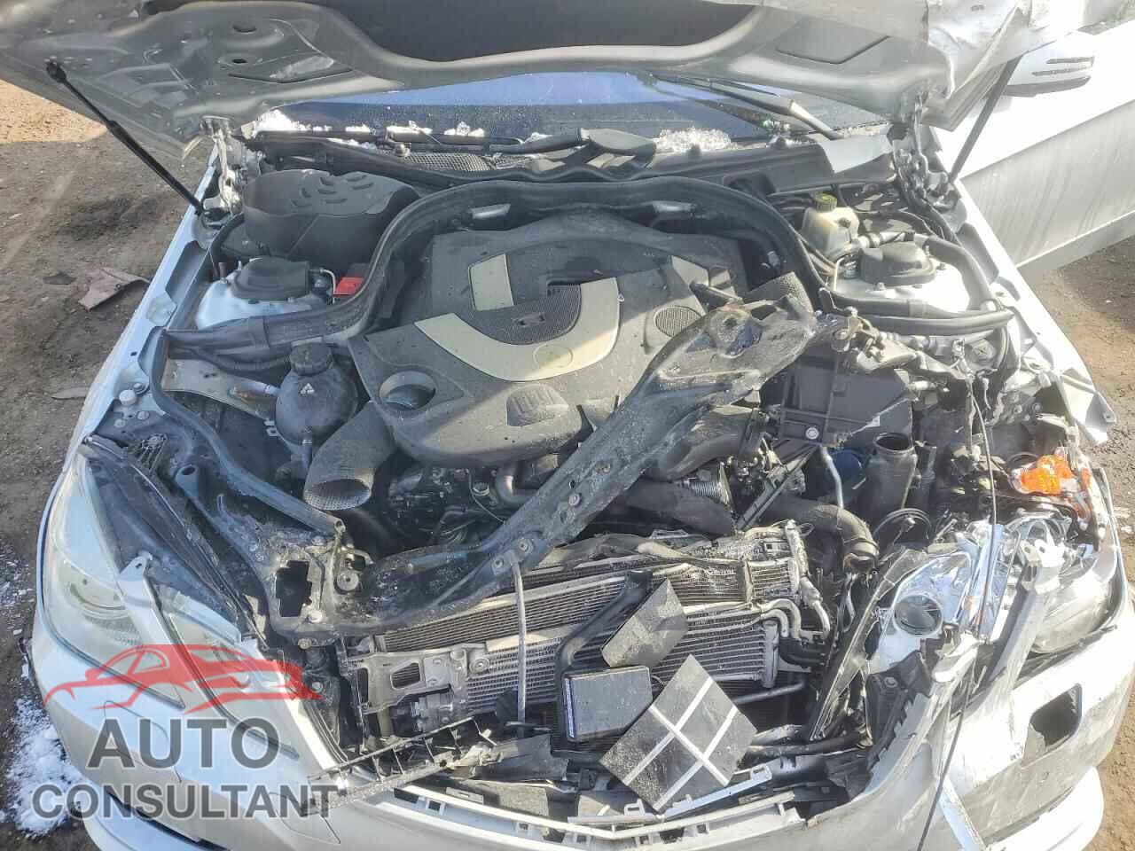 MERCEDES-BENZ E-CLASS 2010 - WDDHF9ABXAA194561