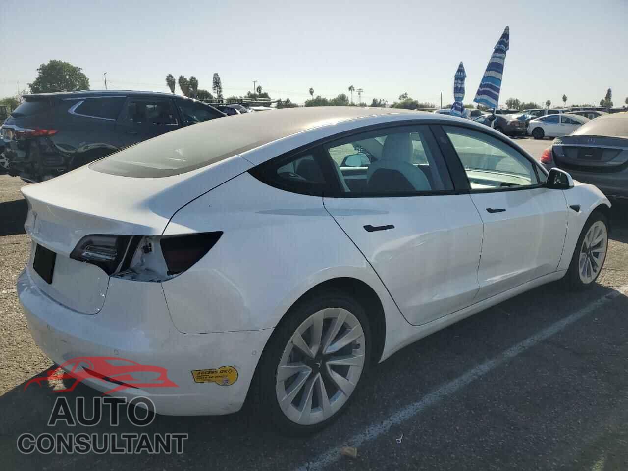 TESLA MODEL 3 2022 - 5YJ3E1EA8NF244929