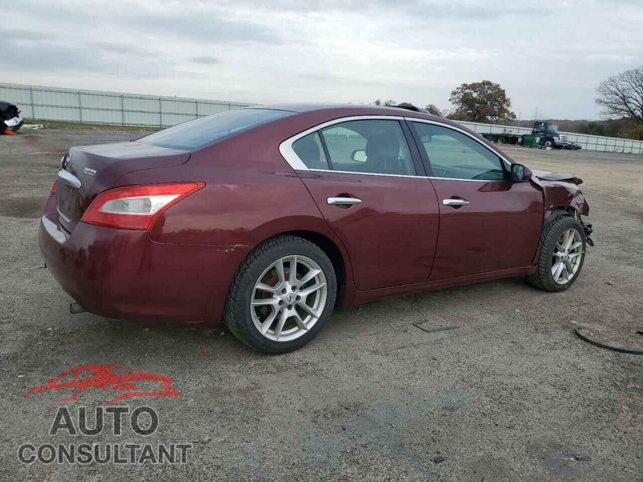 NISSAN MAXIMA 2011 - 1N4AA5AP0BC802064