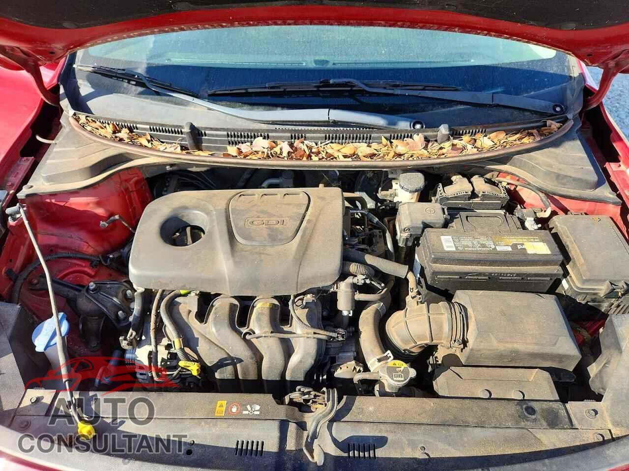 KIA RIO 2019 - 3KPA24AB4KE210357