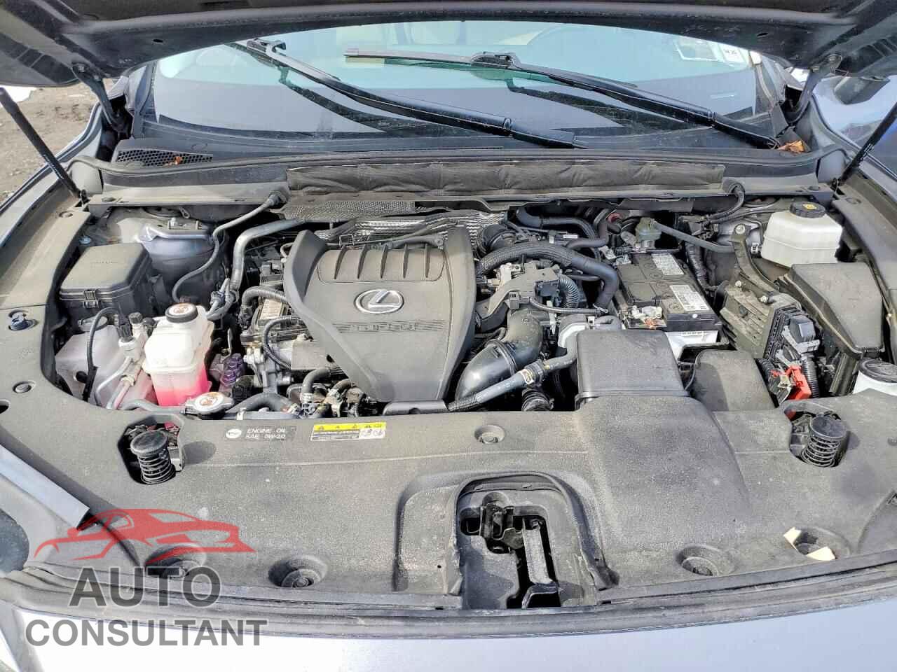 LEXUS RX 350 2023 - 2T2BAMCA5PC002453