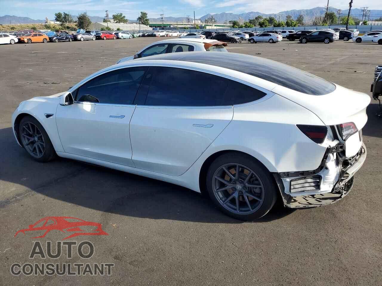 TESLA MODEL 3 2020 - 5YJ3E1EA3LF804420