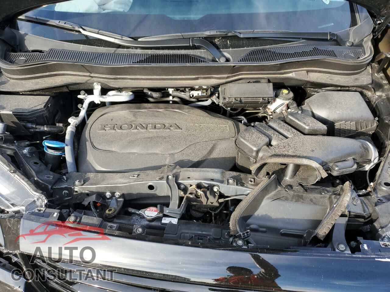 HONDA RIDGELINE 2021 - 5FPYK3F83MB010290