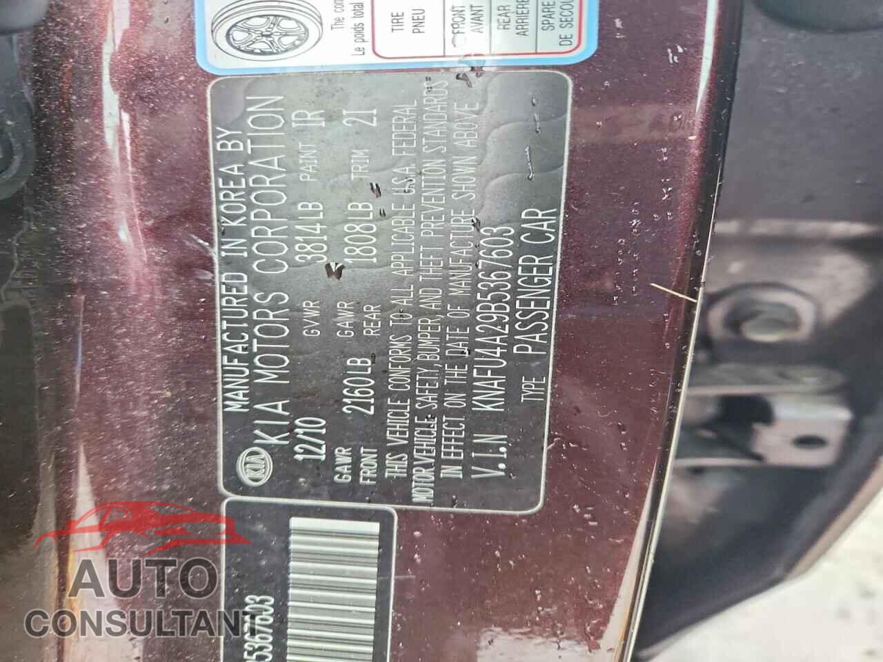 KIA FORTE 2011 - KNAFU4A29B5367603