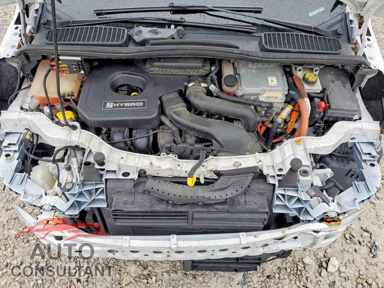 FORD C-MAX 2017 - 1FADP5AU6HL108568