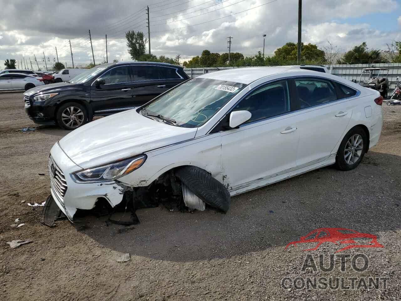 HYUNDAI SONATA 2019 - 5NPE24AF3KH741503