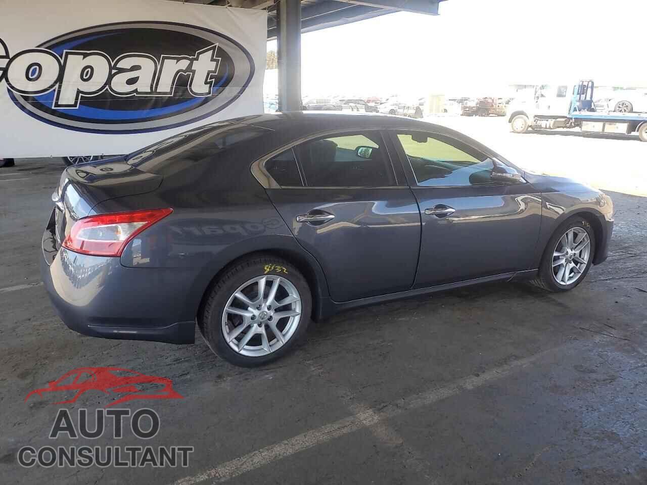 NISSAN MAXIMA 2010 - 1N4AA5AP2AC839373