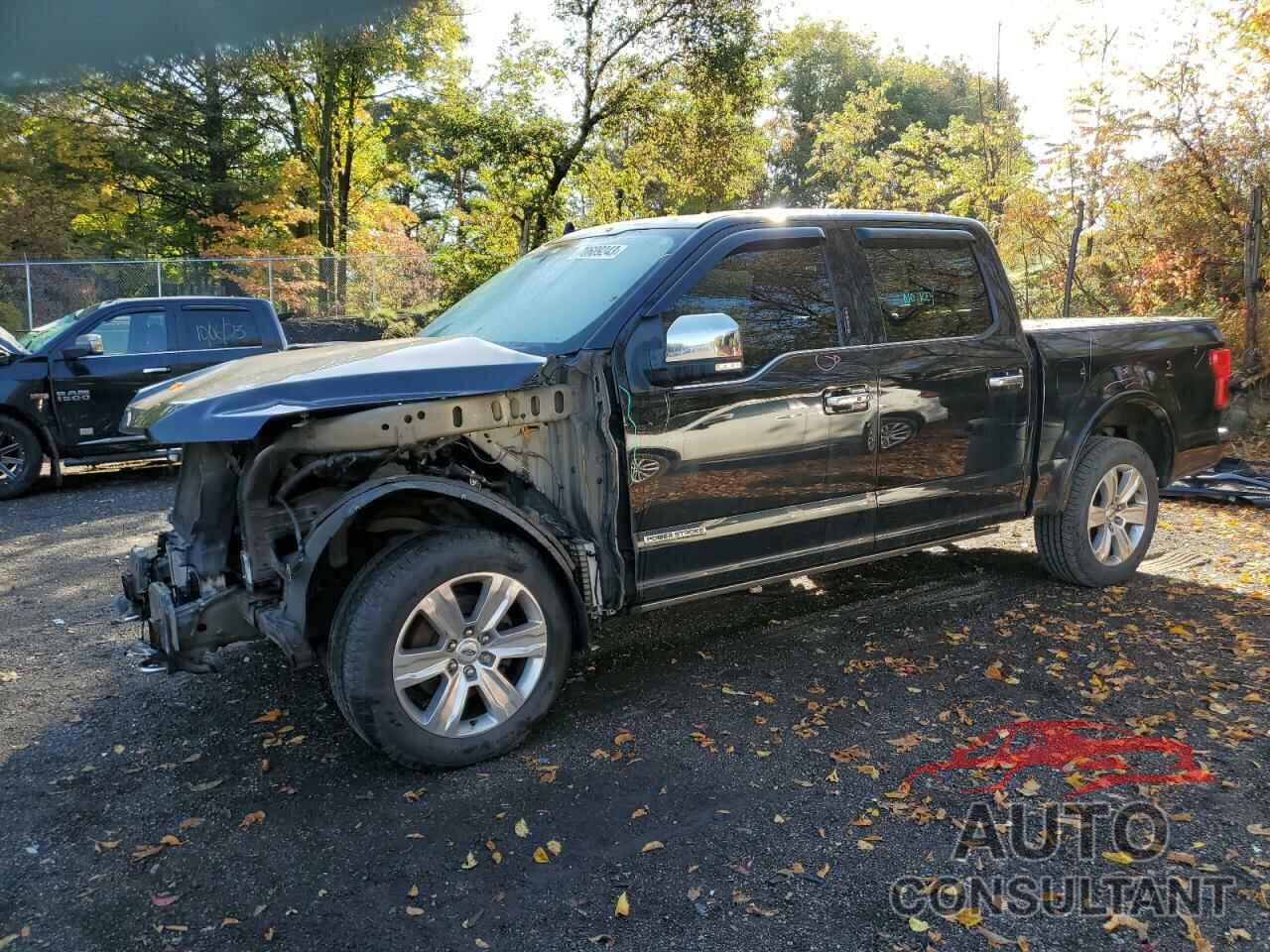FORD F-150 2019 - 1FTFW1E18KFA69566
