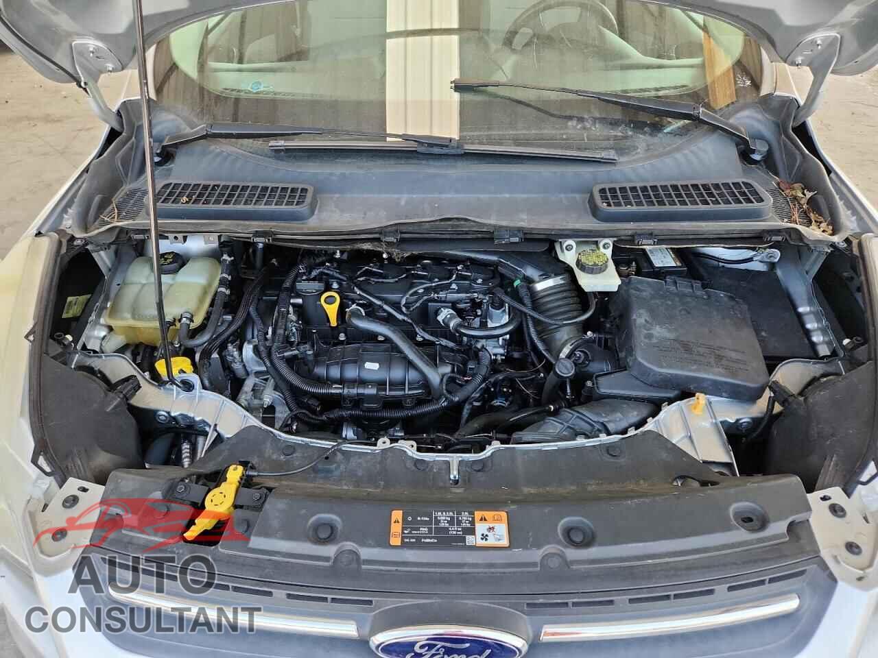 FORD ESCAPE 2014 - 1FMCU0GX7EUC49282
