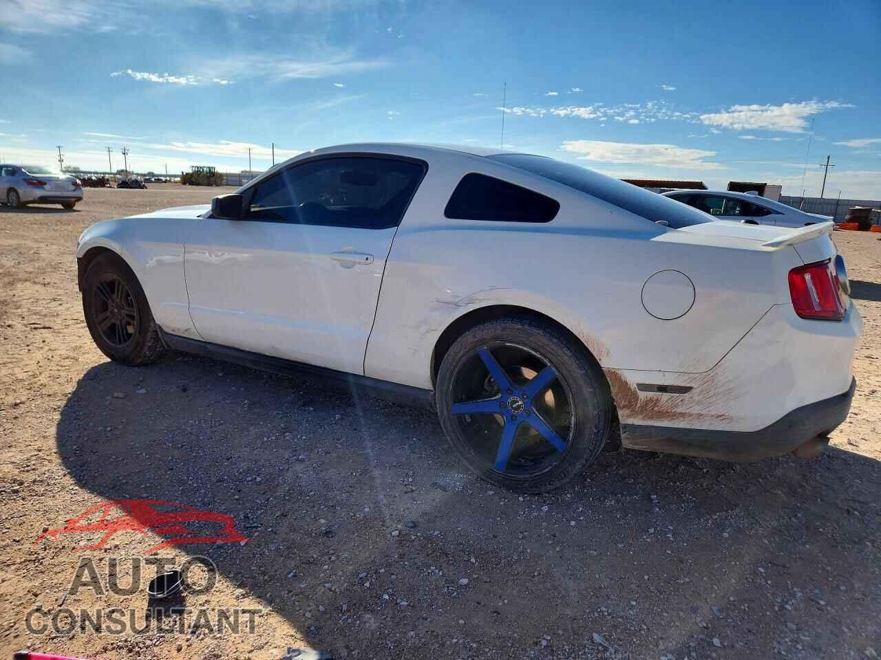 FORD MUSTANG 2011 - 1ZVBP8AM3B5166049