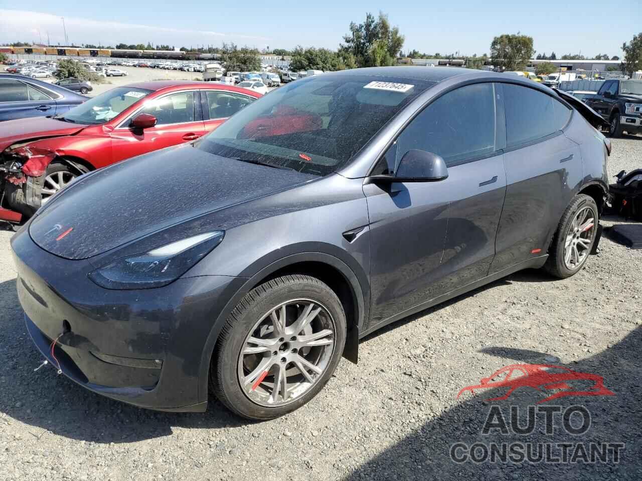 TESLA MODEL Y 2023 - 7SAYGAEE7PF711251