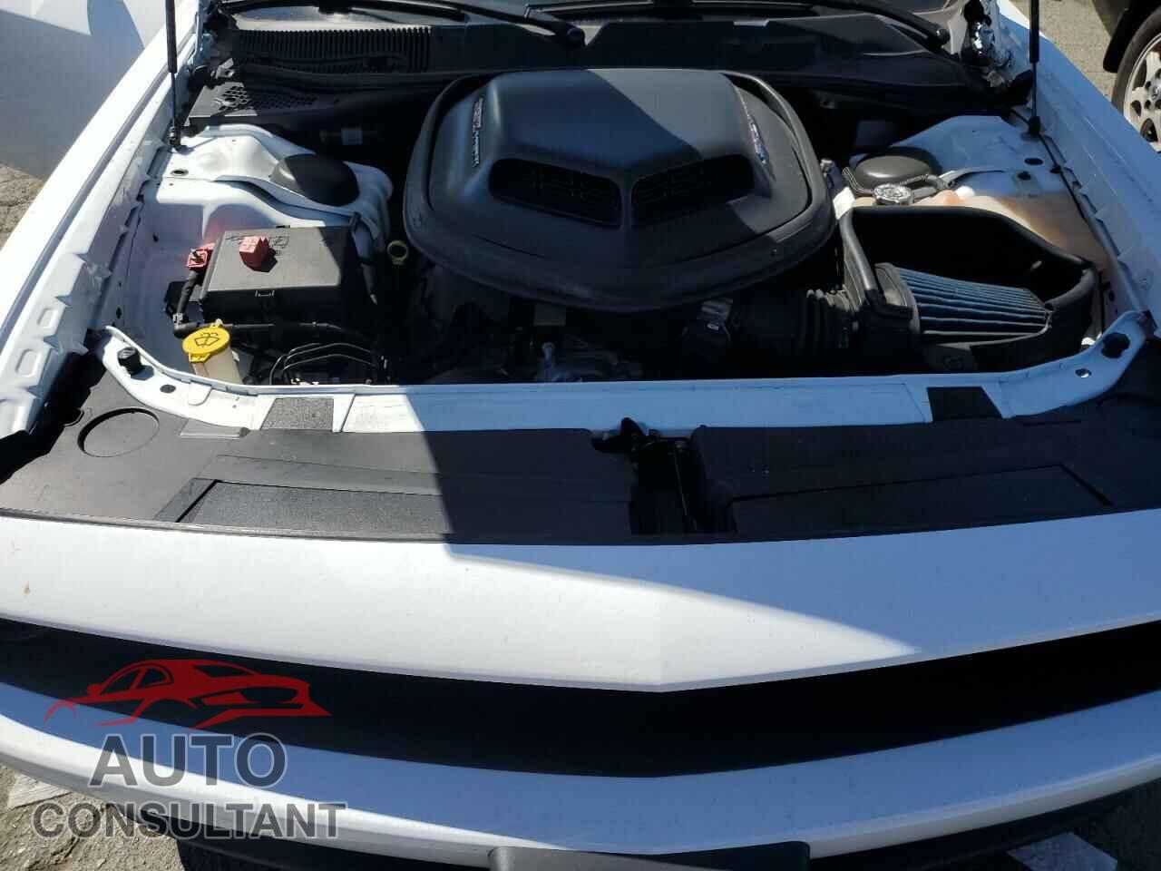 DODGE CHALLENGER 2019 - 2C3CDZFJ8KH620944