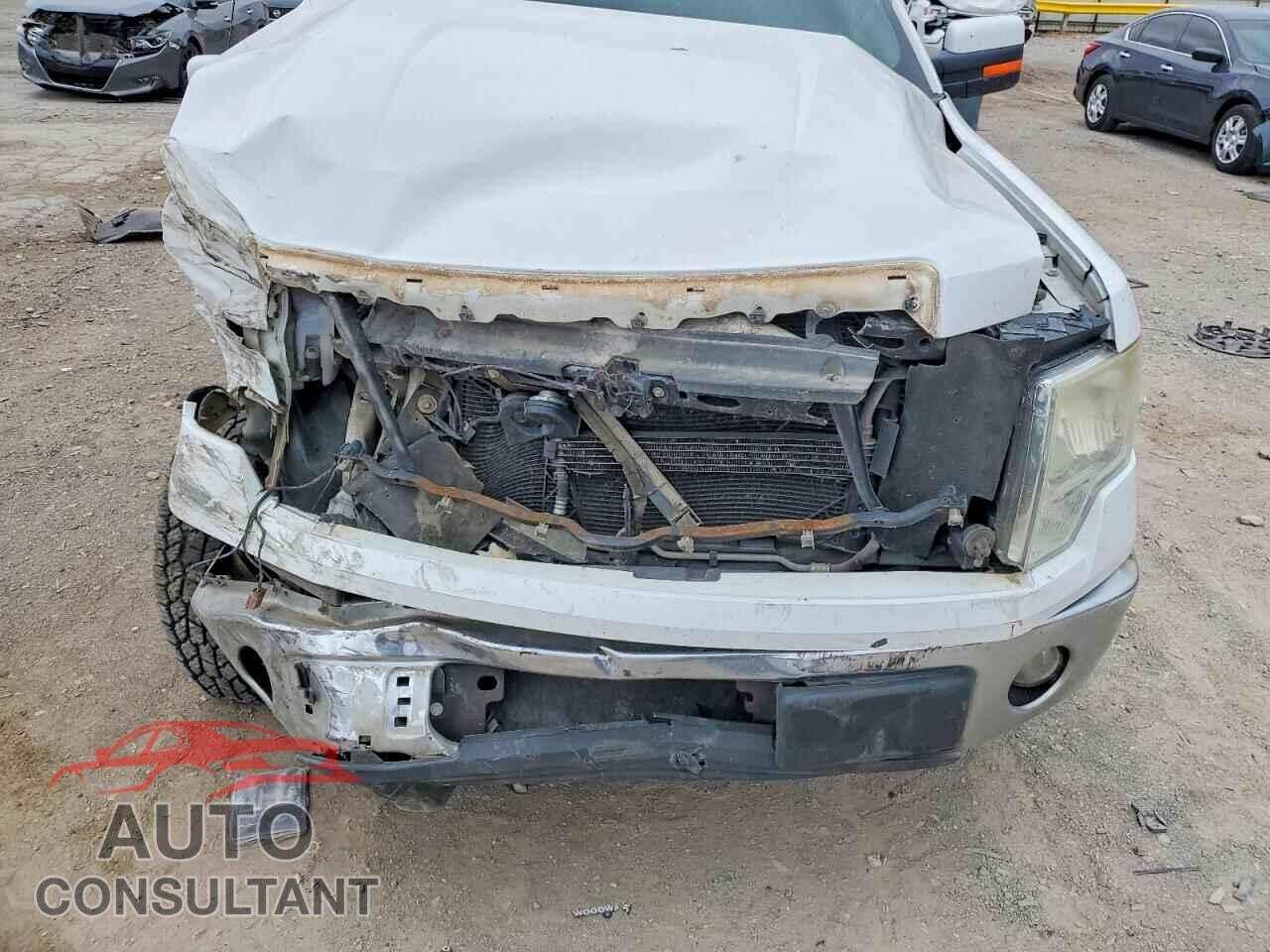FORD F-150 2012 - 1FTFX1CF8CFA70262