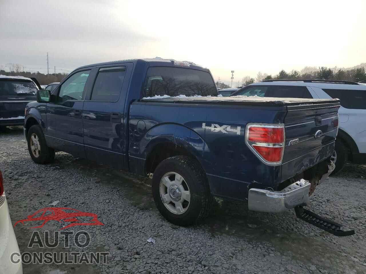 FORD F-150 2009 - 1FTPW14VX9FB00951