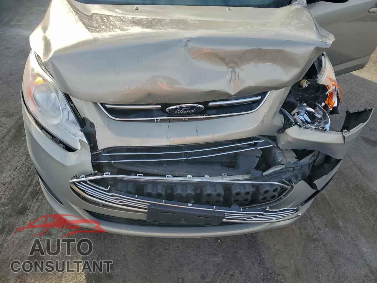 FORD CMAX 2016 - 1FADP5AU4GL111113
