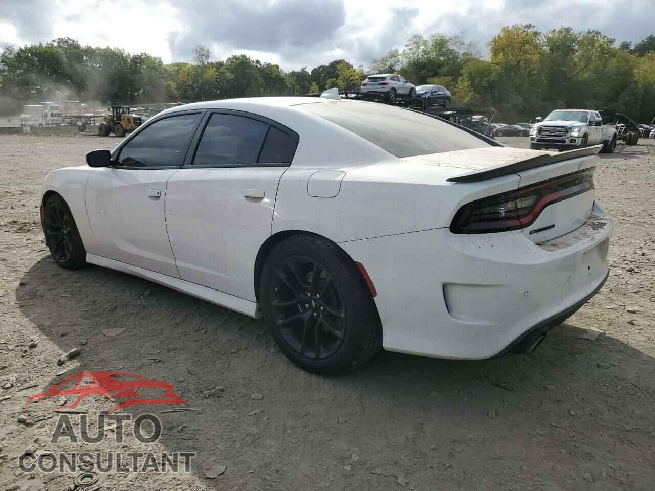 DODGE CHARGER 2020 - 2C3CDXGJ0LH130308