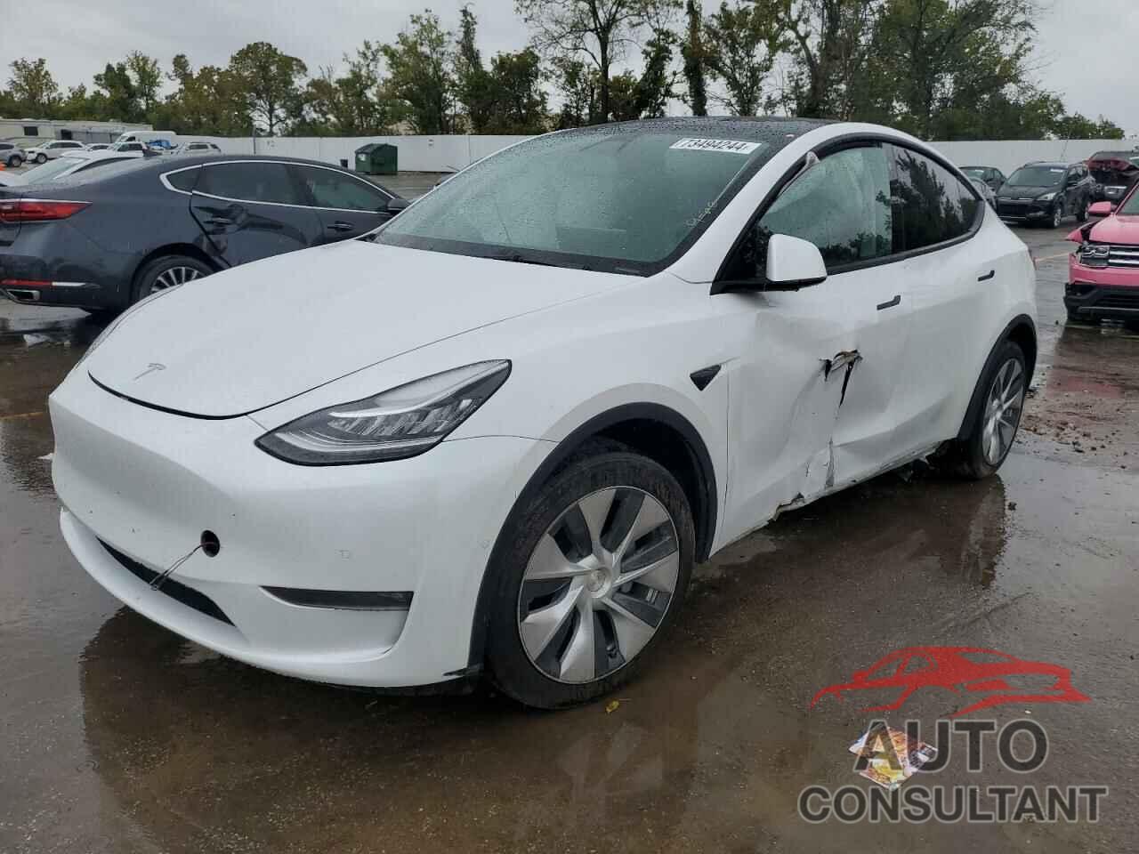 TESLA MODEL Y 2022 - 7SAYGDEEXNF400511