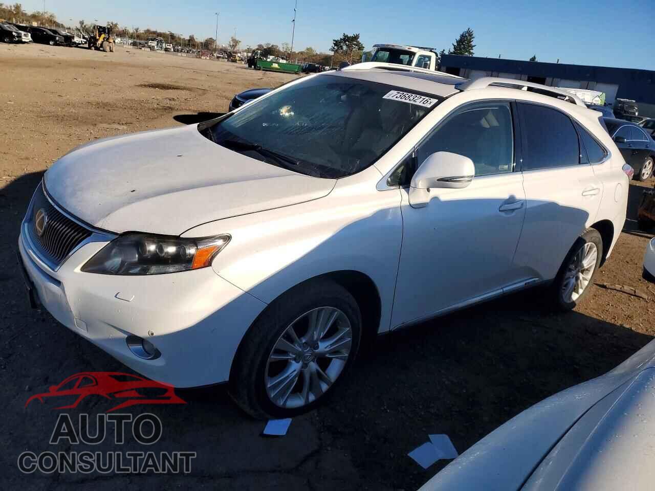 LEXUS RX450 2010 - JTJBC1BA7A2016890