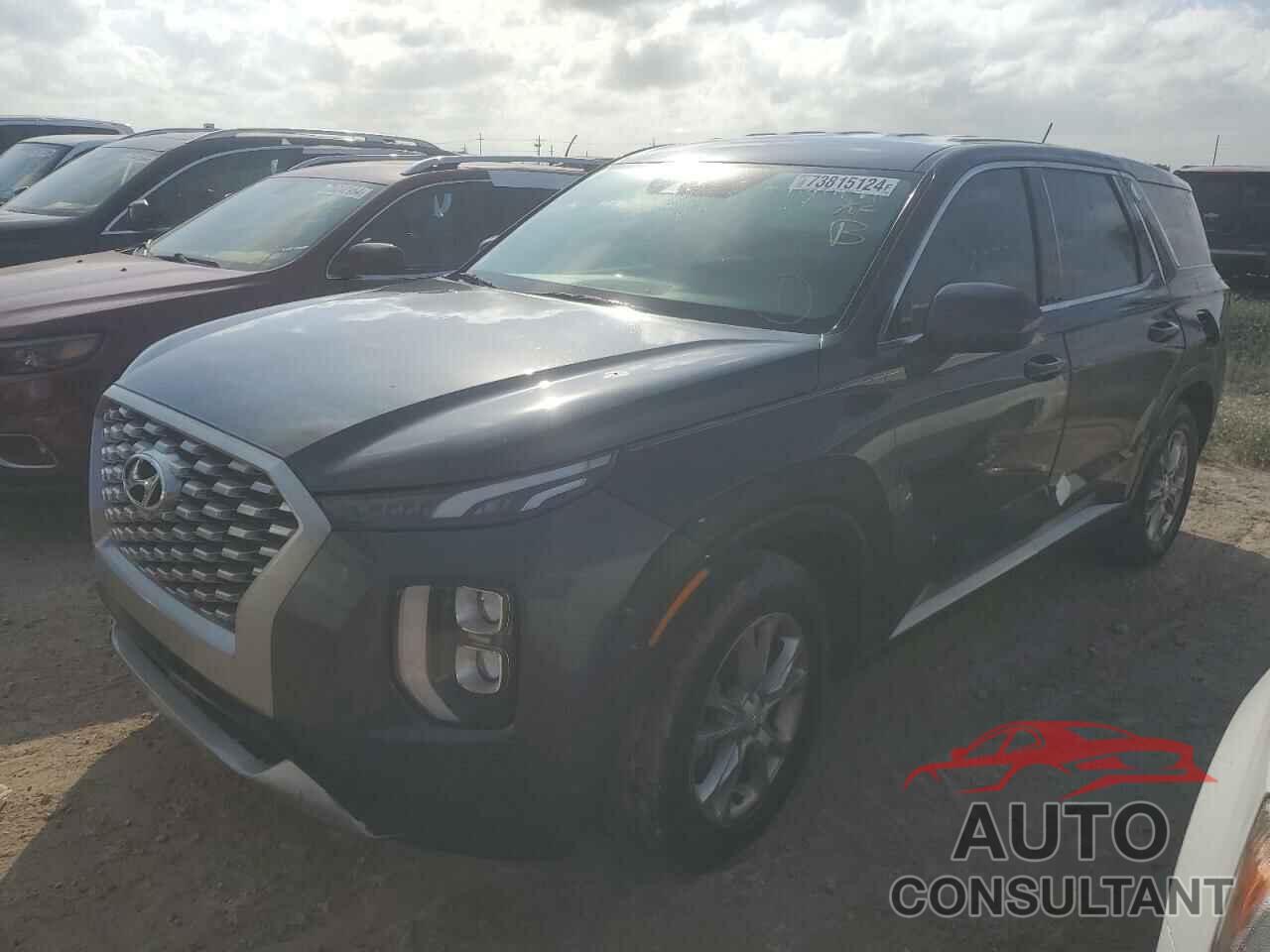 HYUNDAI PALISADE 2020 - KM8R14HE0LU064804