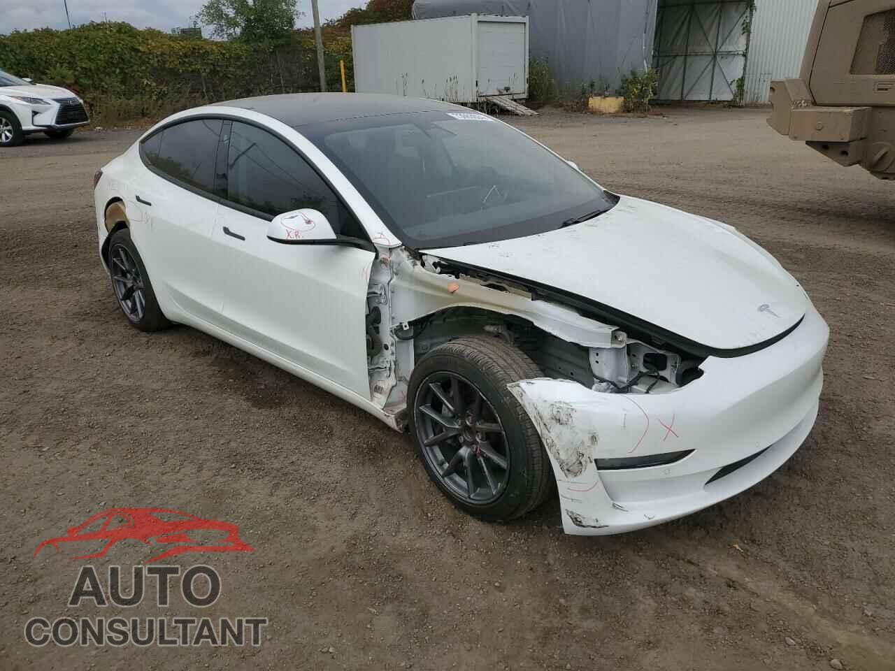TESLA MODEL 3 2021 - 5YJ3E1EA7MF031002
