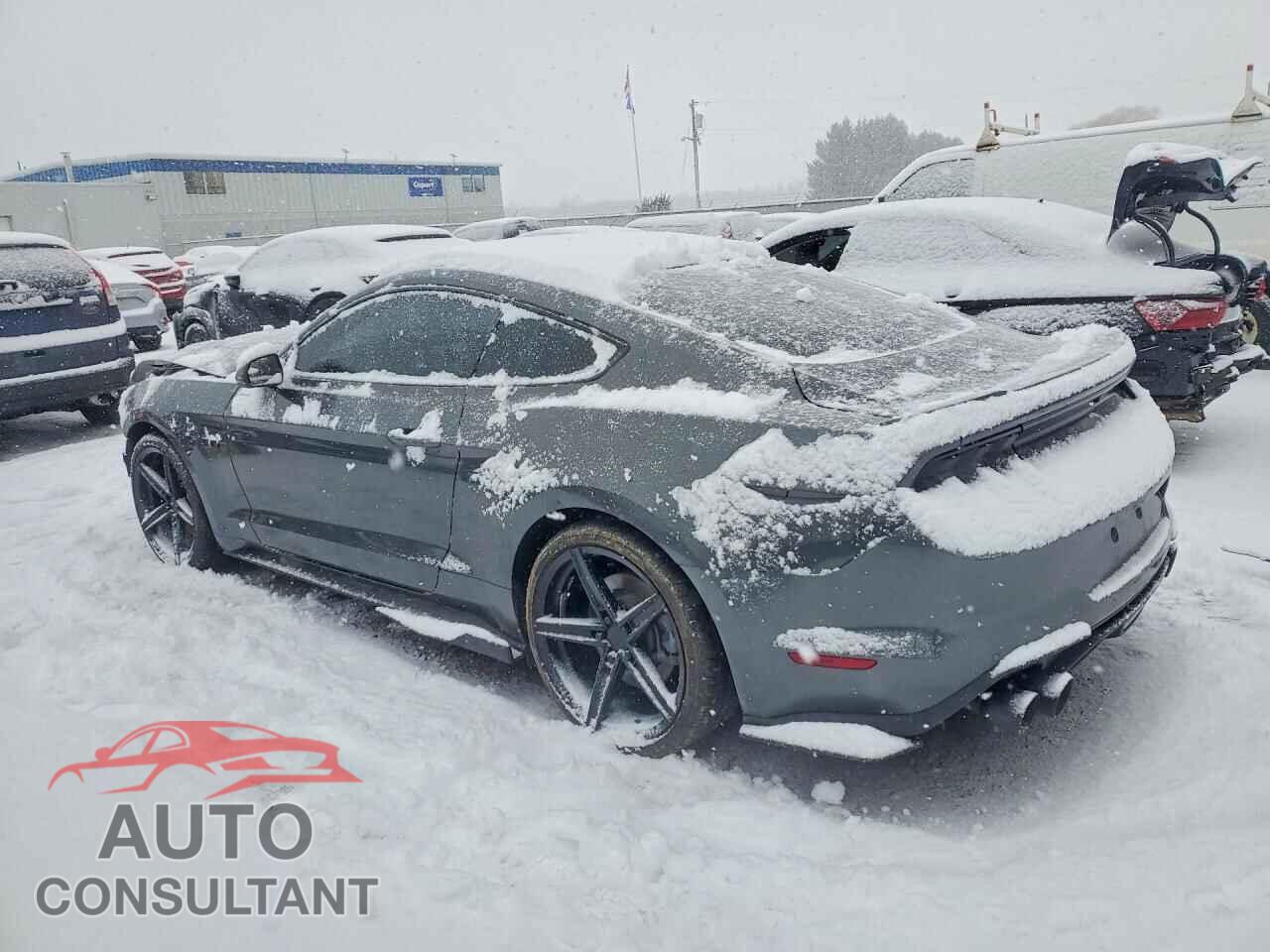 FORD MUSTANG 2019 - 1FA6P8CF1K5155091