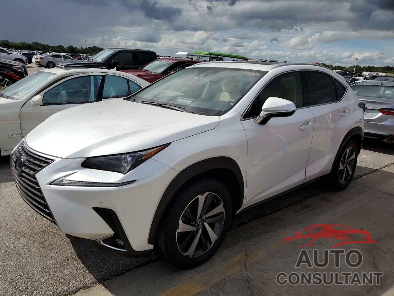 LEXUS NX 2020 - JTJGARDZ5L5016966