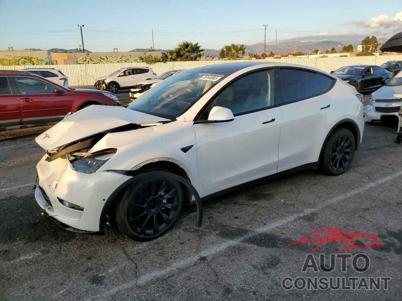 TESLA MODEL Y 2022 - 7SAYGDEE3NF561167