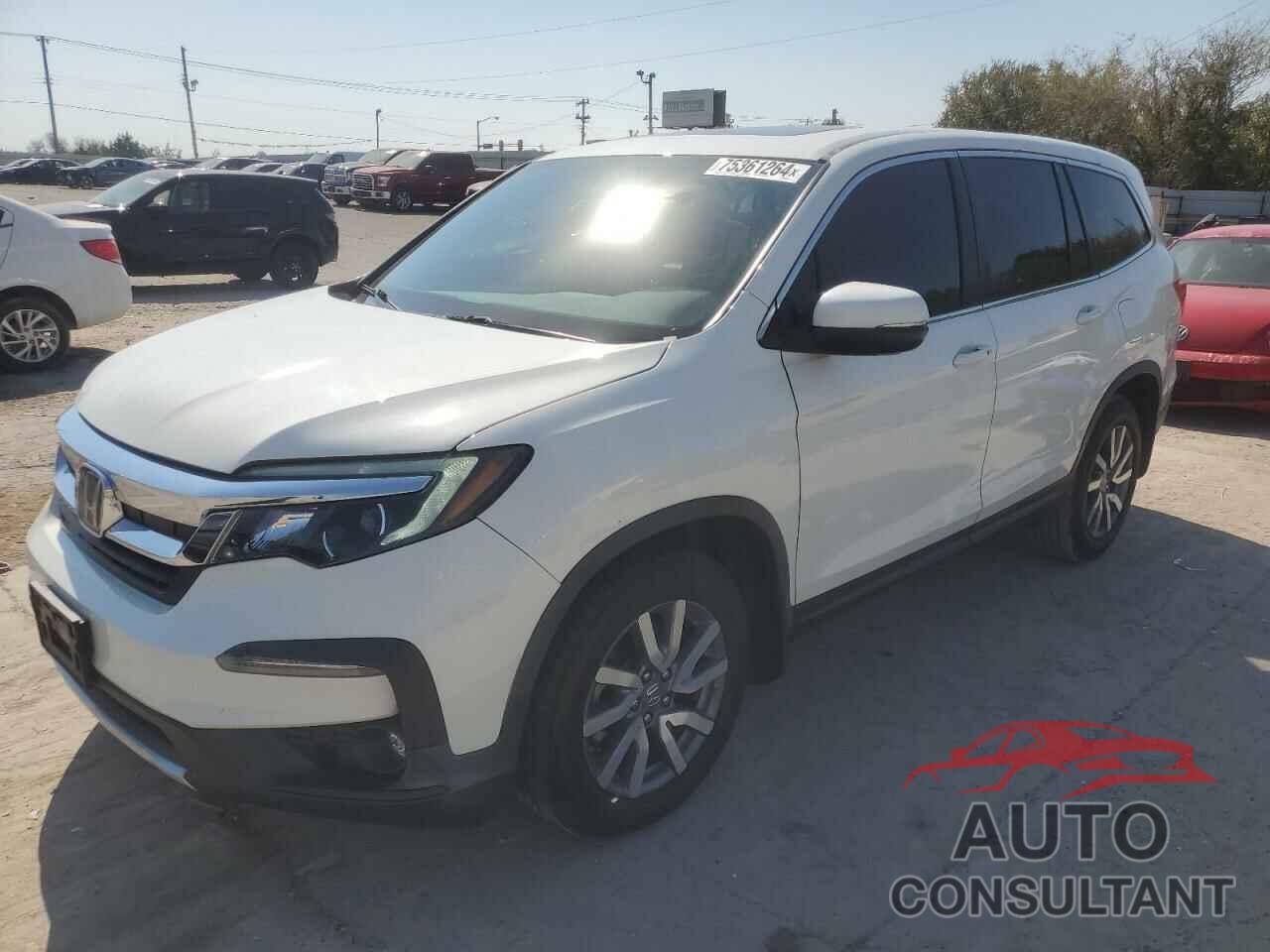 HONDA PILOT 2019 - 5FNYF5H55KB032445