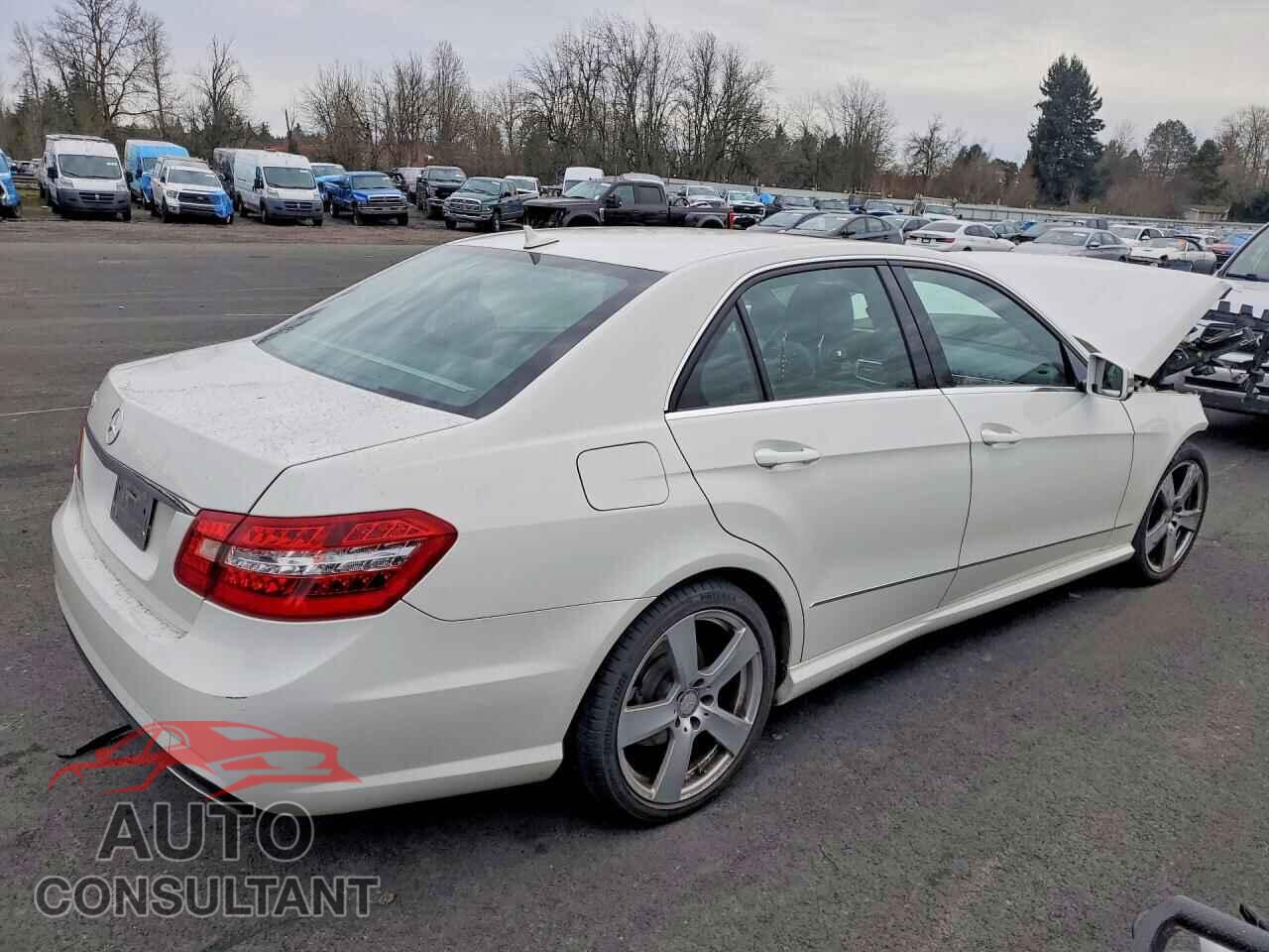 MERCEDES-BENZ E-CLASS 2010 - WDDHF5GB2AA074222