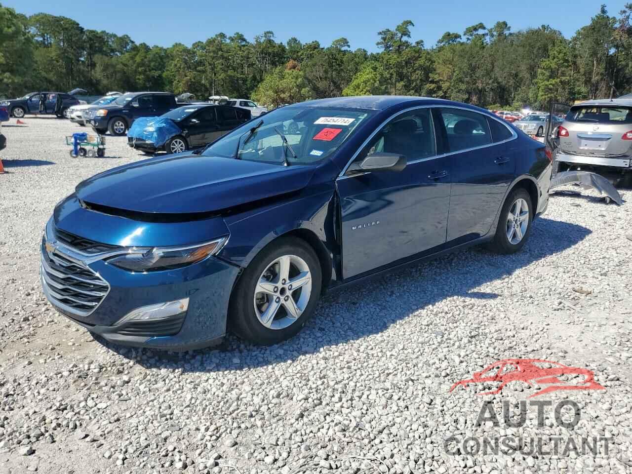 CHEVROLET MALIBU 2019 - 1G1ZB5ST7KF197652