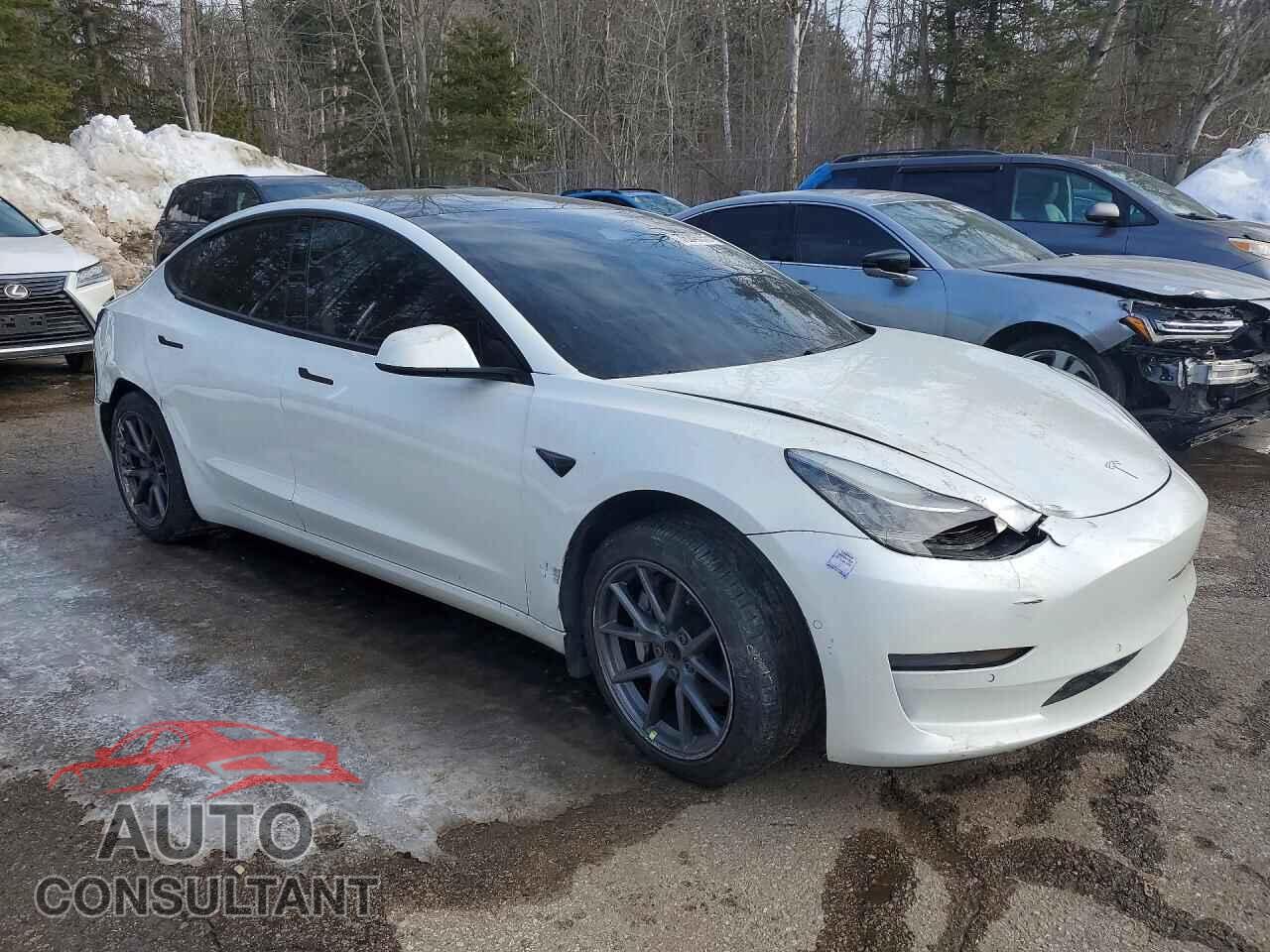 TESLA MODEL 3 2021 - 5YJ3E1EA7MF852309