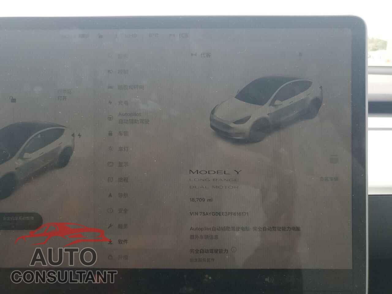 TESLA MODEL Y 2023 - 7SAYGDEE3PF616171