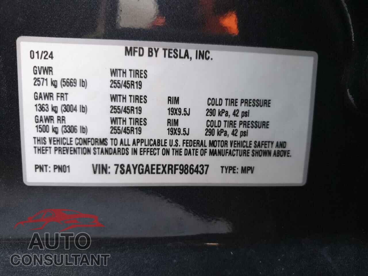 TESLA MODEL Y 2024 - 7SAYGAEEXRF986437