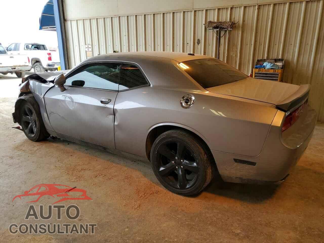 DODGE CHALLENGER 2013 - 2C3CDYAG1DH646875