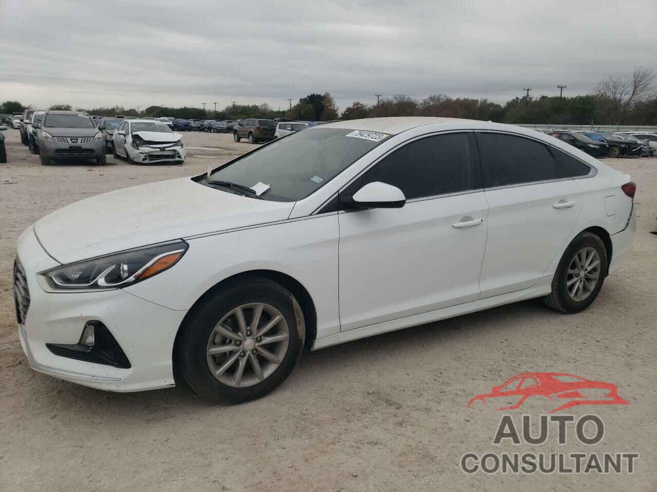 HYUNDAI SONATA 2019 - 5NPE24AF1KH739152