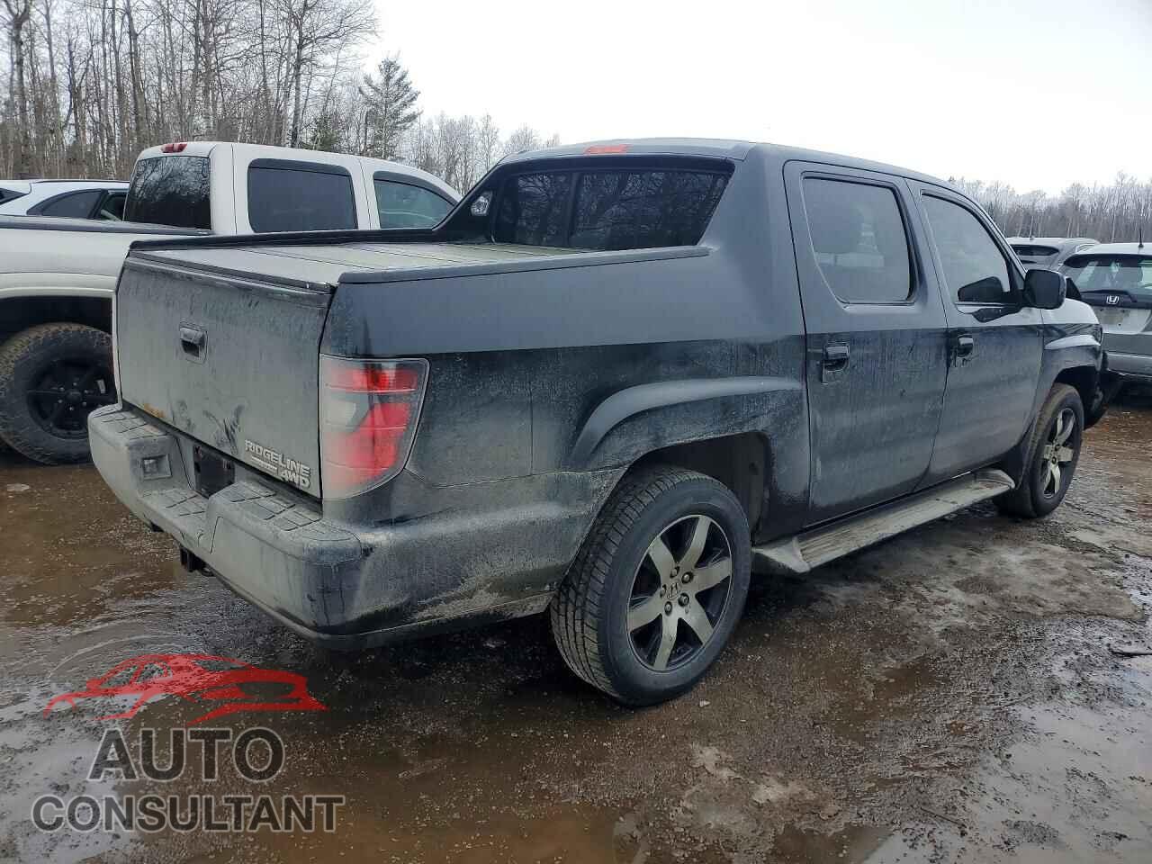HONDA RIDGELINE 2014 - 5FPYK1F8XEB501574