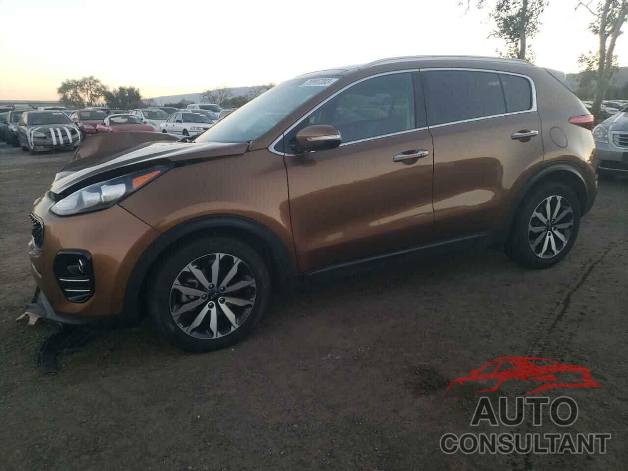 KIA SPORTAGE 2017 - KNDPN3AC1H7183955