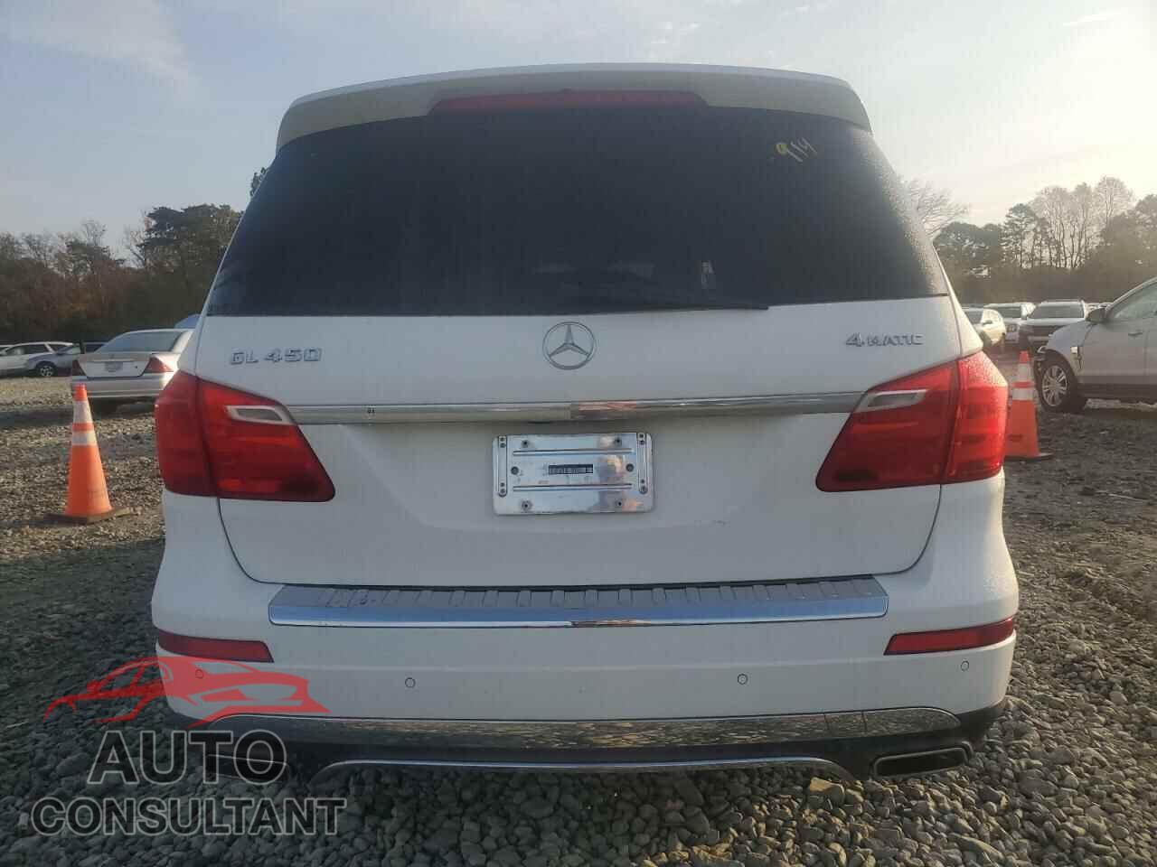 MERCEDES-BENZ GL-CLASS 2014 - 4JGDF7CEXEA411645