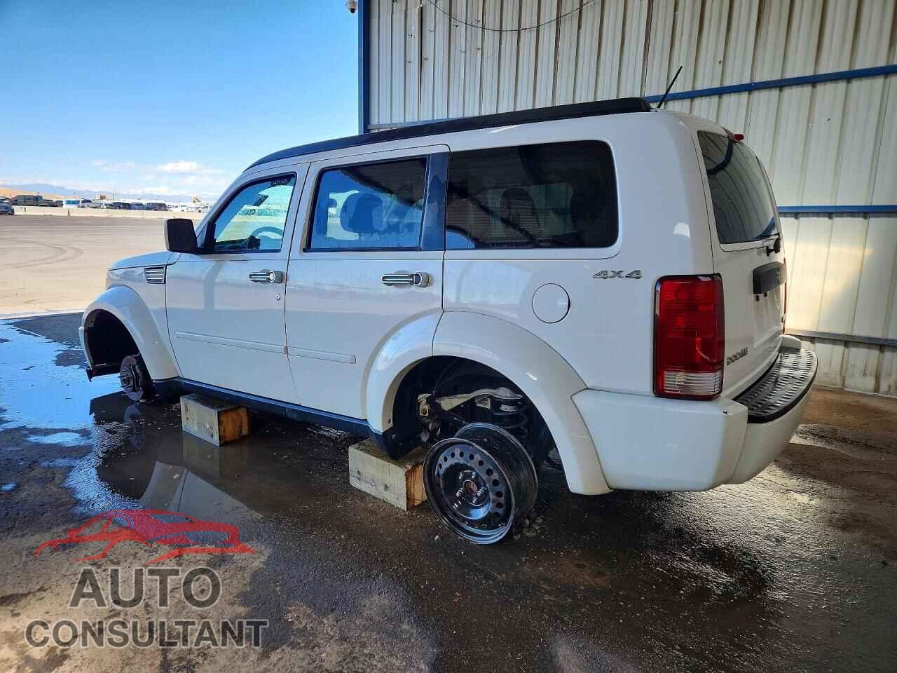 DODGE NITRO 2011 - 1D4PU4GK9BW598125