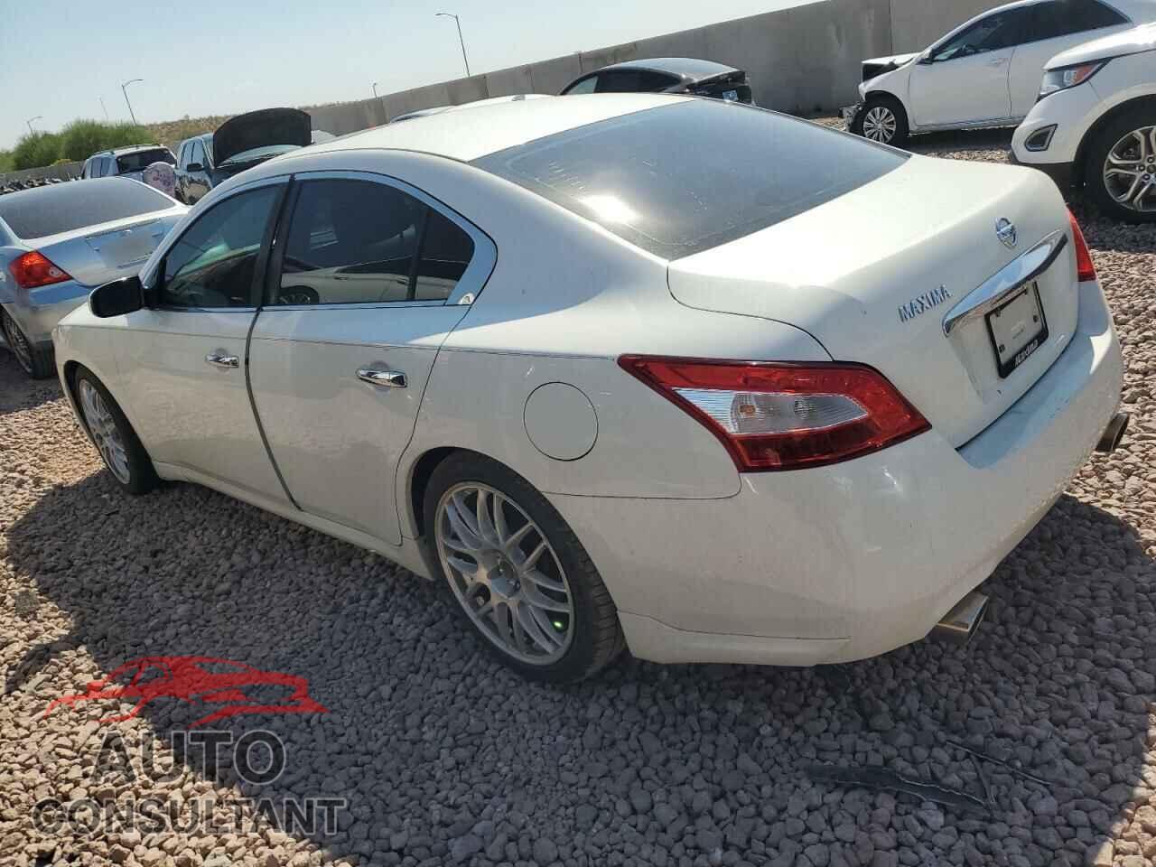 NISSAN MAXIMA 2009 - 1N4AA51E09C845702